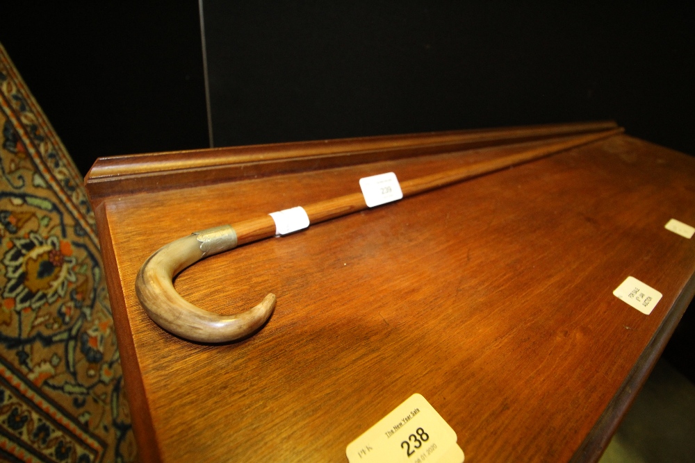 19th Century slender horn topped cane