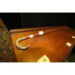 19th Century slender horn topped cane