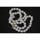 18ct gold & pearl necklace