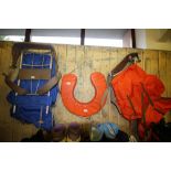 2 Rucksacks & Flotation Device