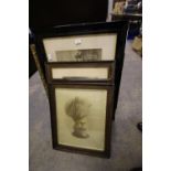 Various prints including military portrait & photos