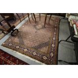 Persian Shiraz carpet - Made in Iran (300 x 200)