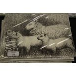 16 x Henry Moore Sheep Prints c 1960