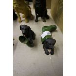 Two Leonardo black Labradors playing with wellingtons