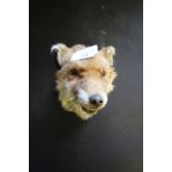 Taxidermy Fox Mask