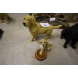 Two Leonardo yellow Labradors - mother and pup