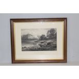 Victorian oak framed print - Cattle in the Highlands, printed by Douglas Cameron 64cm x 79cm