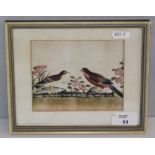 A small Chinese watercolour, of birds and foliage, unsigned, within a card mount and moulded