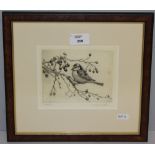 After Winifred Austen, a monochrome bird study, signed and titled in margin, within a card mount and