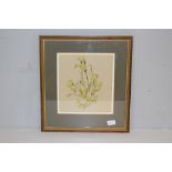 Joy Fonder, a pencil and watercolour study of flowers, signed in pencil, framed 25cm x 23cm
