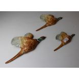 A graduating set of three Beswick pottery 'flying' pheasant wall plaques, models 661/1, 661/2 and