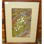 Christine Isherwood (local contemporary) botanical study 'Wood Sorrel' gouache on paper, signed,