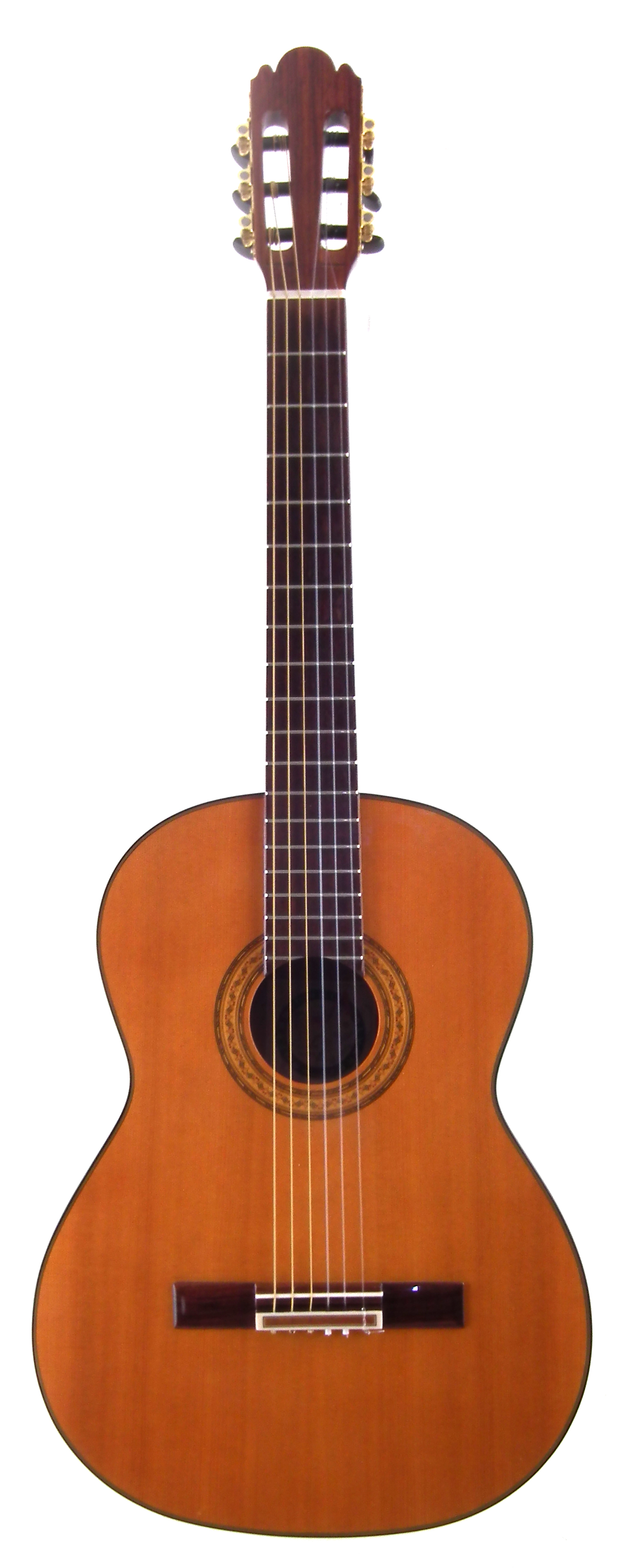 Alvarez Professional Spanish Guitar model PC50