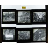 75 mainly black and white magic lantern slides and photos, WW2 images, St. Ives, Eaton Hall,