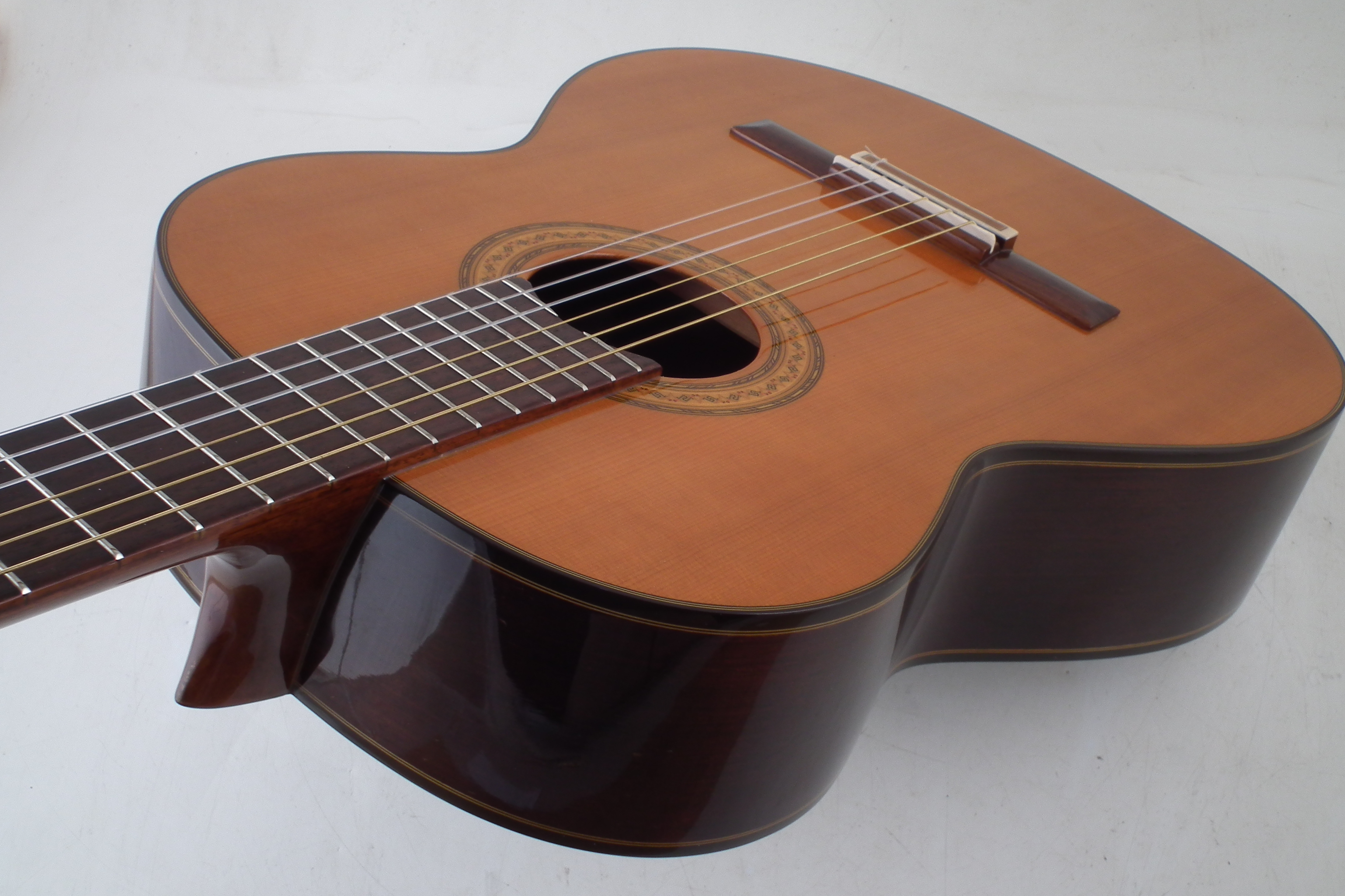 Alvarez Professional Spanish Guitar model PC50 - Image 2 of 7
