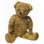 Plush Tom Bear. Condition reports are not available for our Interiors Sale