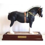 Clermont Fine China shire stallion 1978