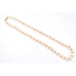 A cultured pearl necklace,