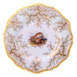 Flight Barr and Barr plate circa 1820 painted with shells in a seaweed gilt border