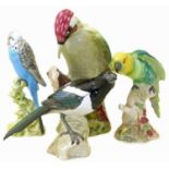 Beswick Woodpecker, Parakeet, Budgie and Magpie.