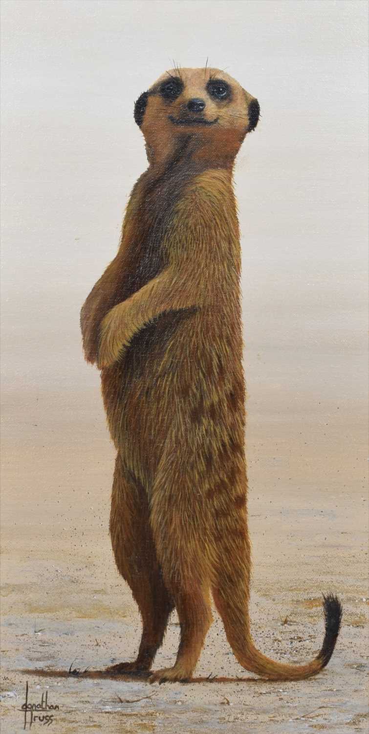 Jonathan Truss (British 1960-) Meerkat