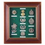 Framed Scottish Infantry cap badge display