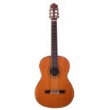 Alvarez Professional Spanish Guitar model PC50