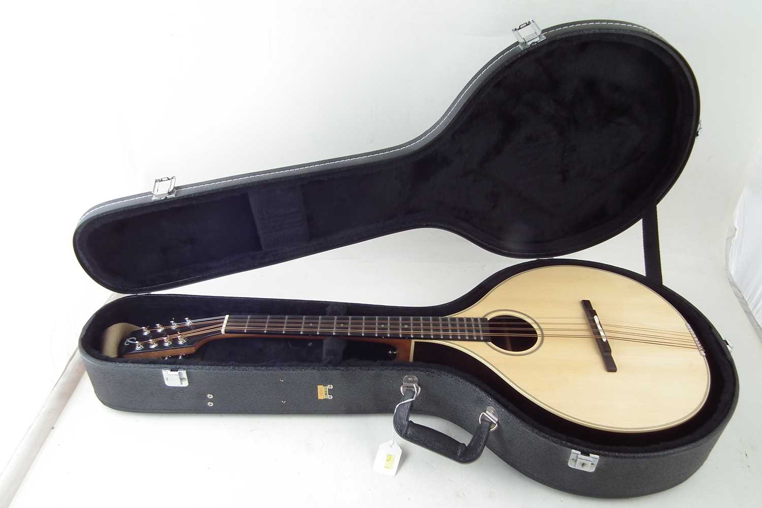 Packard octave mandola with case - Image 8 of 8