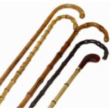 A group of five bamboo walking canes.