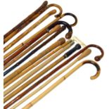 A group of fourteen bamboo walking canes and staffs.