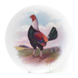 Minton plate by J.E. Dean