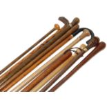 A group of ten modern hardwood walking sticks.