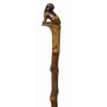 Blackthorn walking cane.