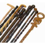 Ten modern hardwood walking sticks of varying designs and woods.