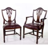 Set of twelve early 20th century Hepplewhite design shield back chairs