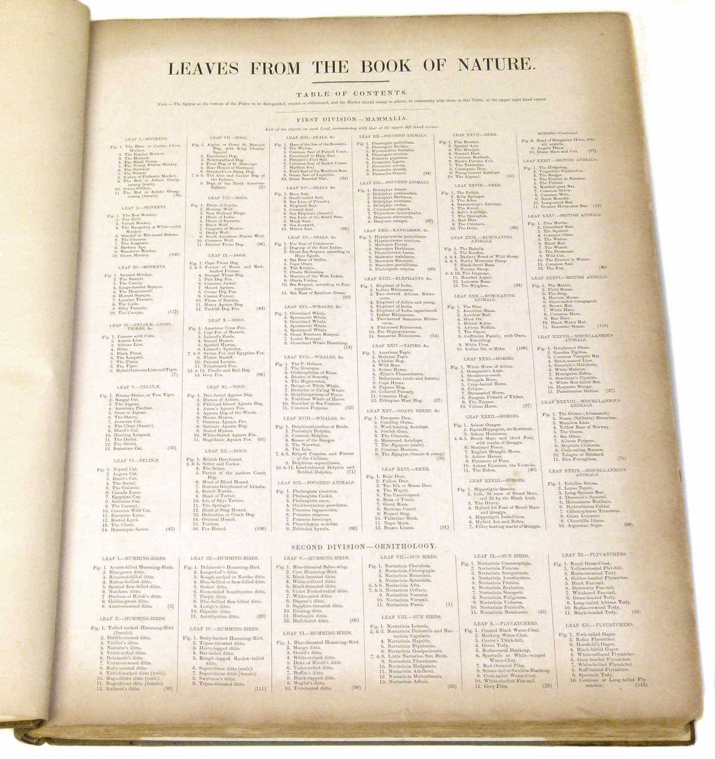 Leaves from the Book of Nature, one volume. - Image 3 of 6