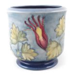 Moorcroft Jardiniere