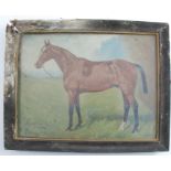 George Paice, oil on canvas, bay horse in landscape, named and signed, 8.5ins x 11.5insCondition
