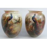 A pair of Royal Worcester vases, decorated with peacocks and peahens in pine trees, by Sedgley,