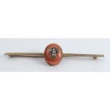 A coral bar brooch, the oval cabochon set with a fly with diamond set wings and body, garnet set