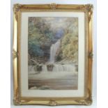 Edward Salter, watercolour, The Crooked Falls, Vale of Neath, dated 1890, 20ins x 13ins
