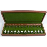A cased set of silver collectors spoons, The Royal Horticultural Society Flower Spoons, twelve