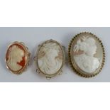 A shell cameo brooch, in a 9 carat gold mount, together with two other larger similar brooches