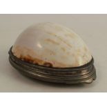 A 19th century cowrie shell snuff box, with silver plated mounts