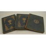 The Reverend G N Wright, The Shores and Islands of the Mediterranean, two volumes, engraved title