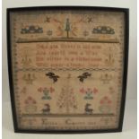 A 19th century tapestry sampler, with text, flowers, birds and animals, Eliza Caffyn 1814, 13.5ins x