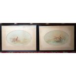 Jaz Stinton, pair, oval watercolours, mallards and pheasants, 5.5ins x 8.5ins