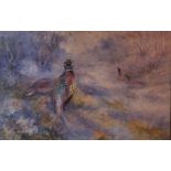 James Stinton, watercolour, pheasants in a landscape, 9.5ins x 14ins
