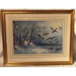 W E Powell, watercolour, mallards flighting, 11.25ins x 16.75ins