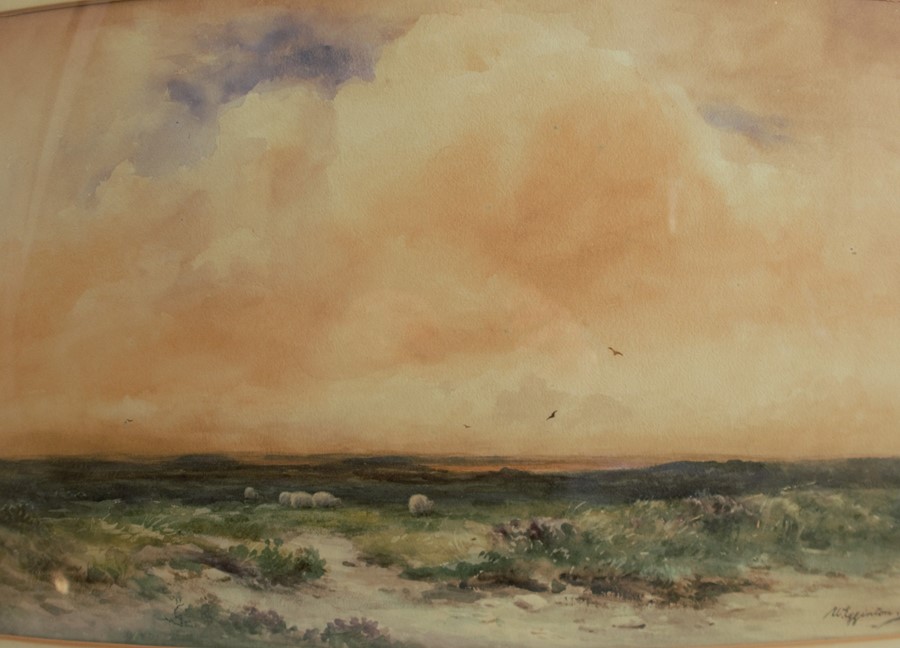 Wycliffe Eddington, watercolour, sheep in a landscape, 13.75ins x 20.75ins - Image 2 of 3
